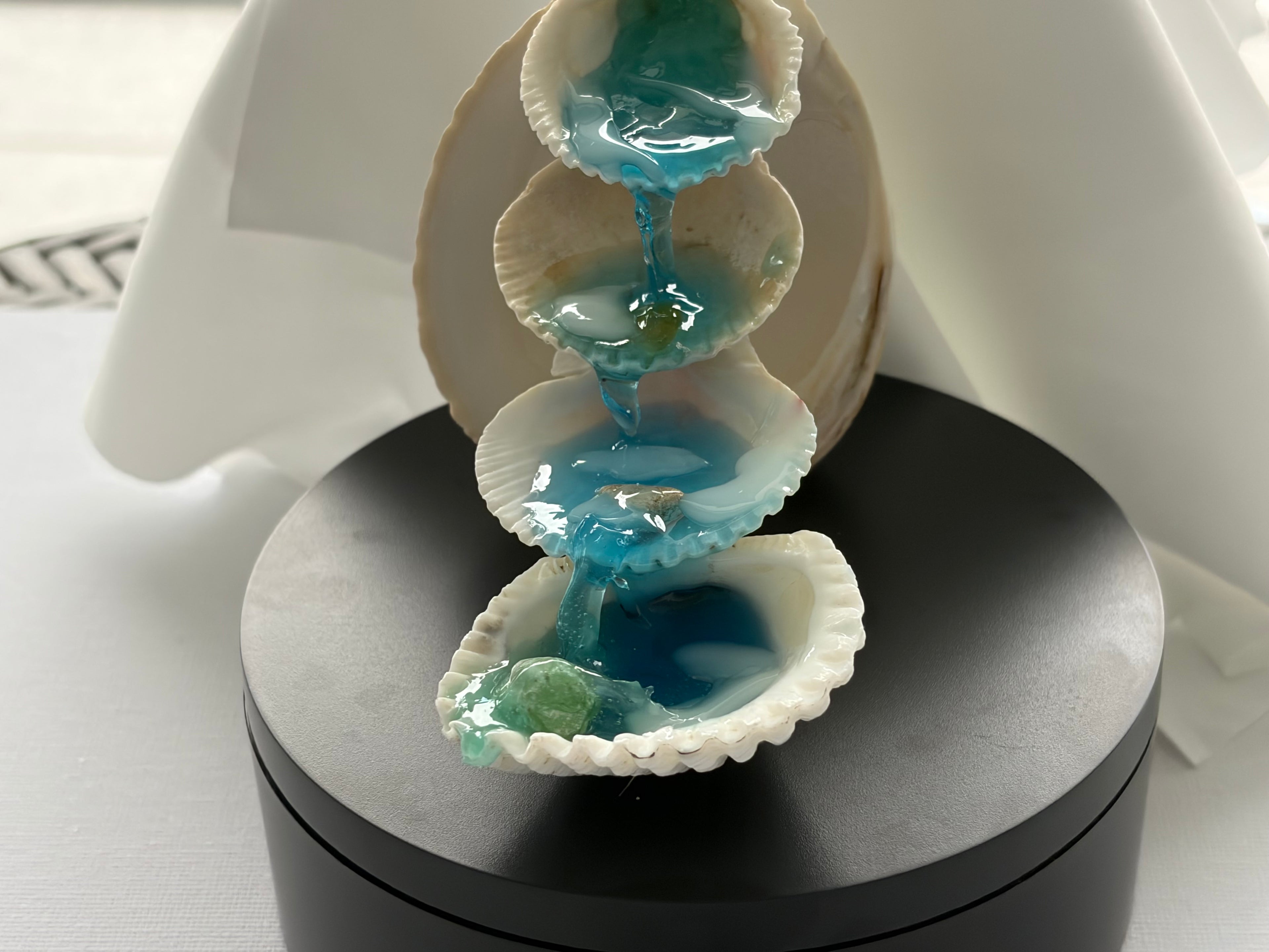 The Coastal Home Decor