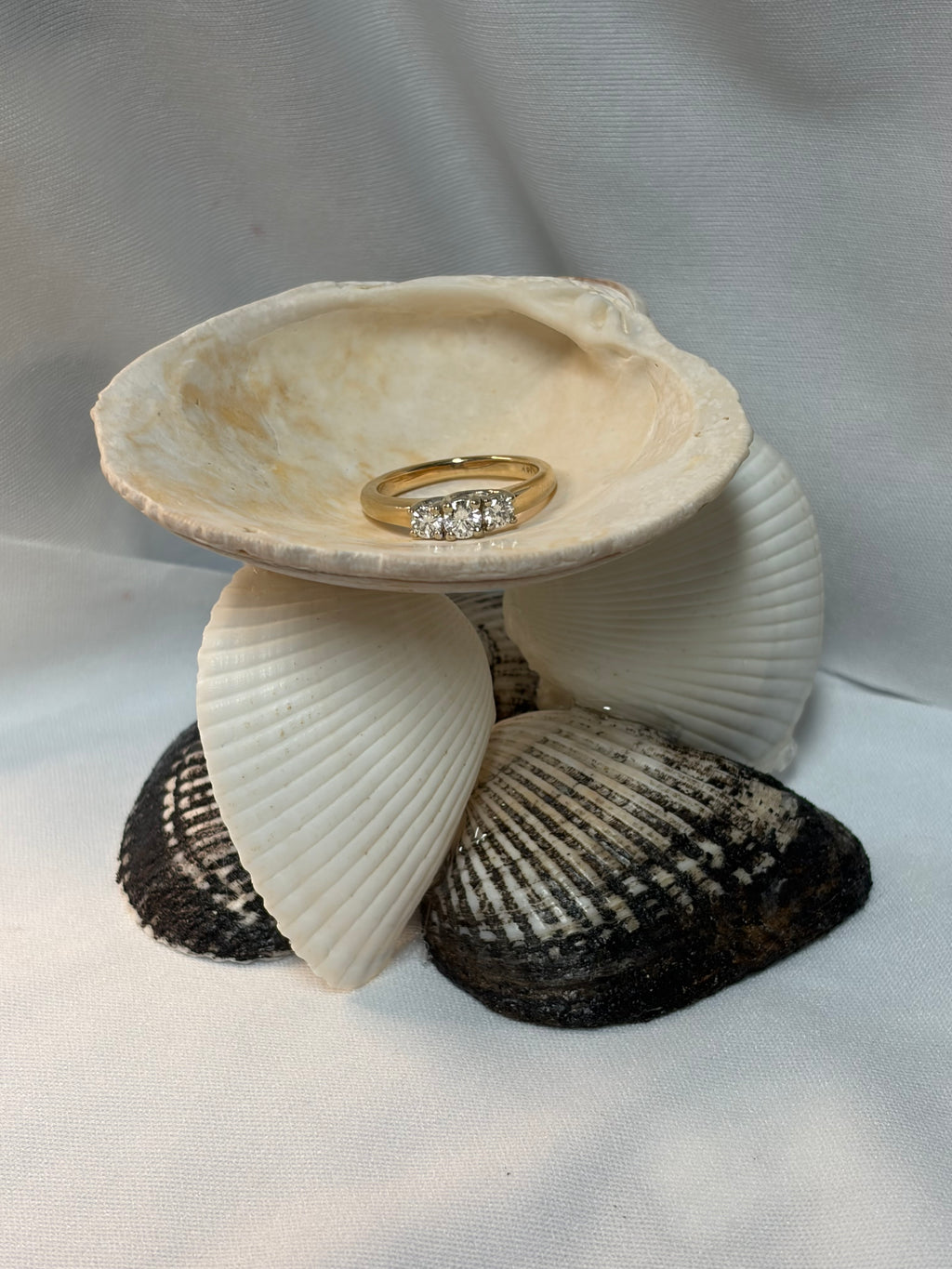 Coastal Seashell Jewelry Holder