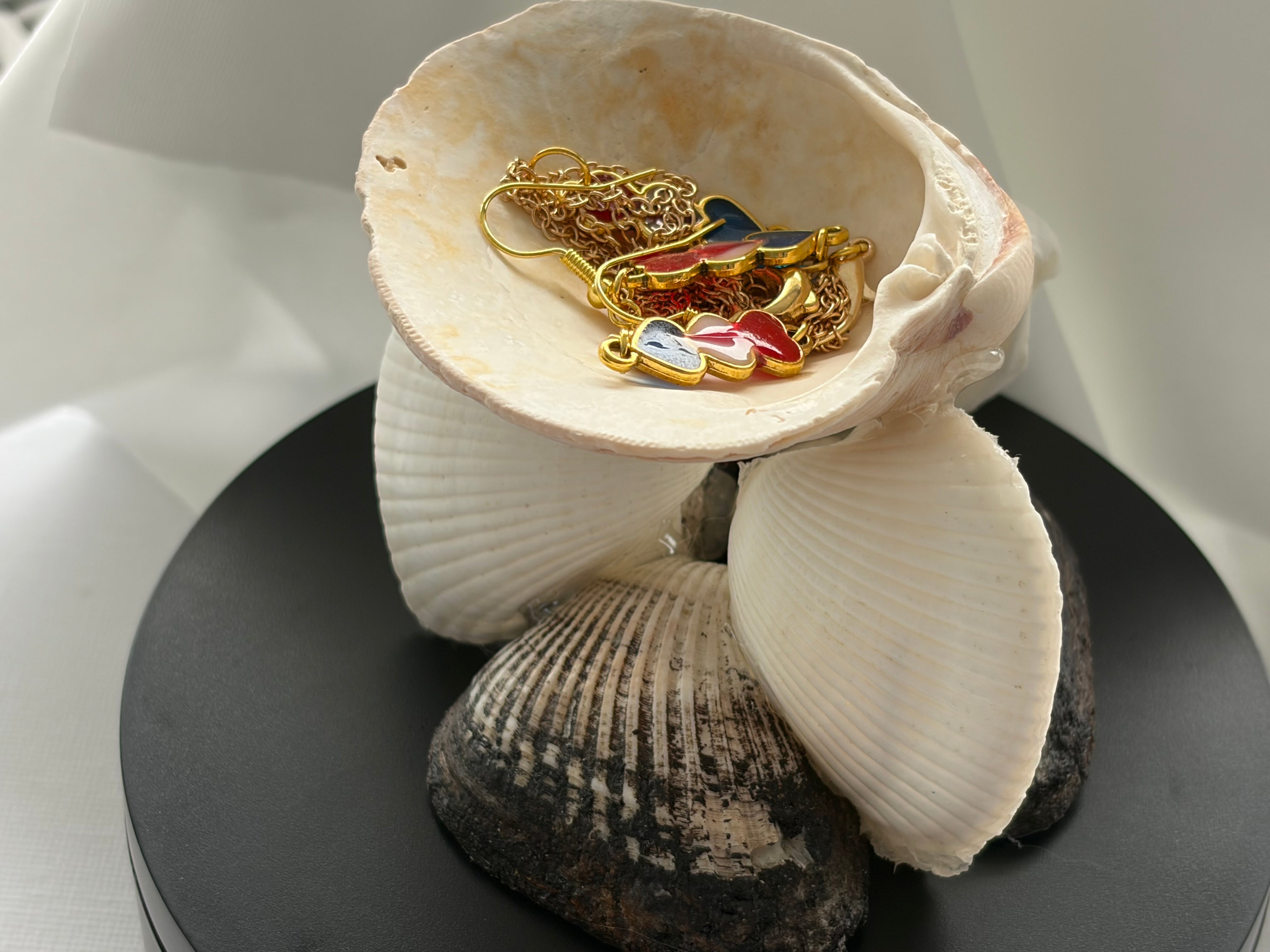Coastal Seashell Jewelry Holder