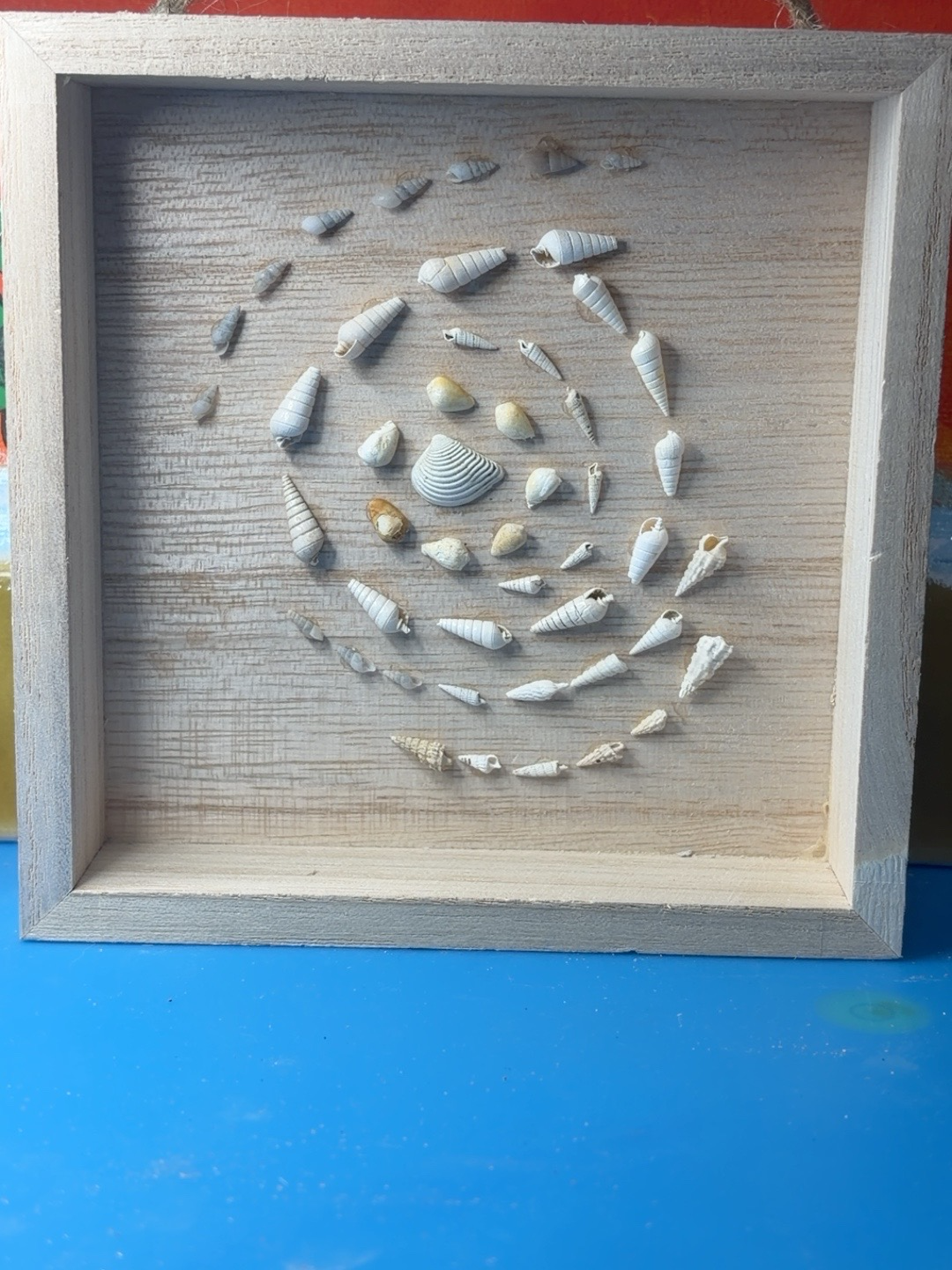 Coastal Seashell Spiral Shadow Box