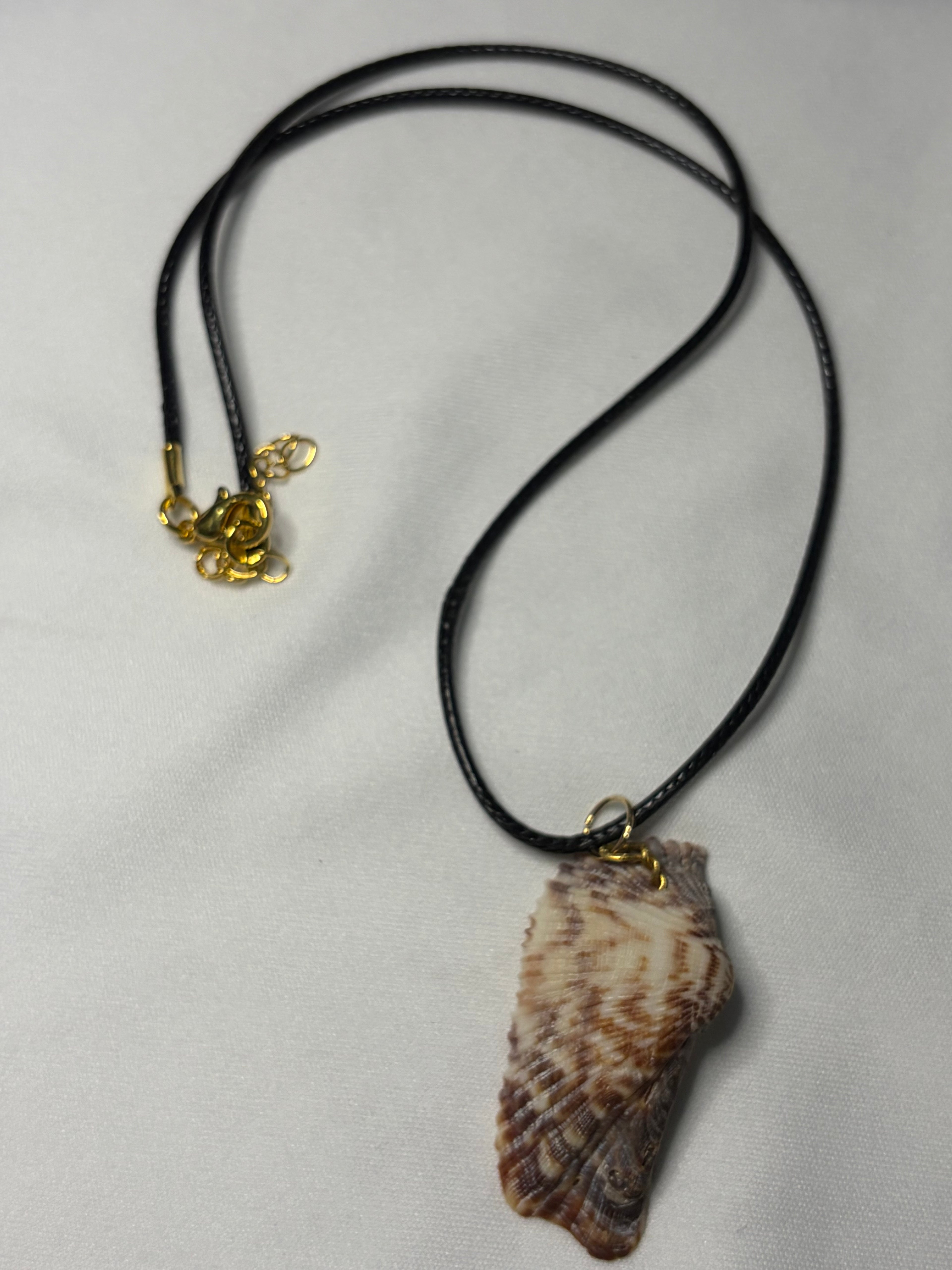 Natural Patterned Seashell Necklace