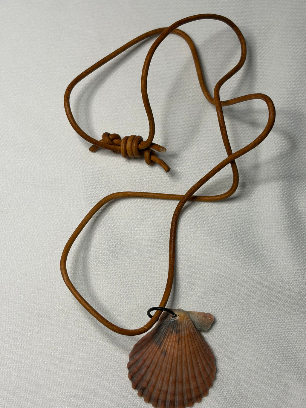 Natural Scallop Shell Leather Necklace