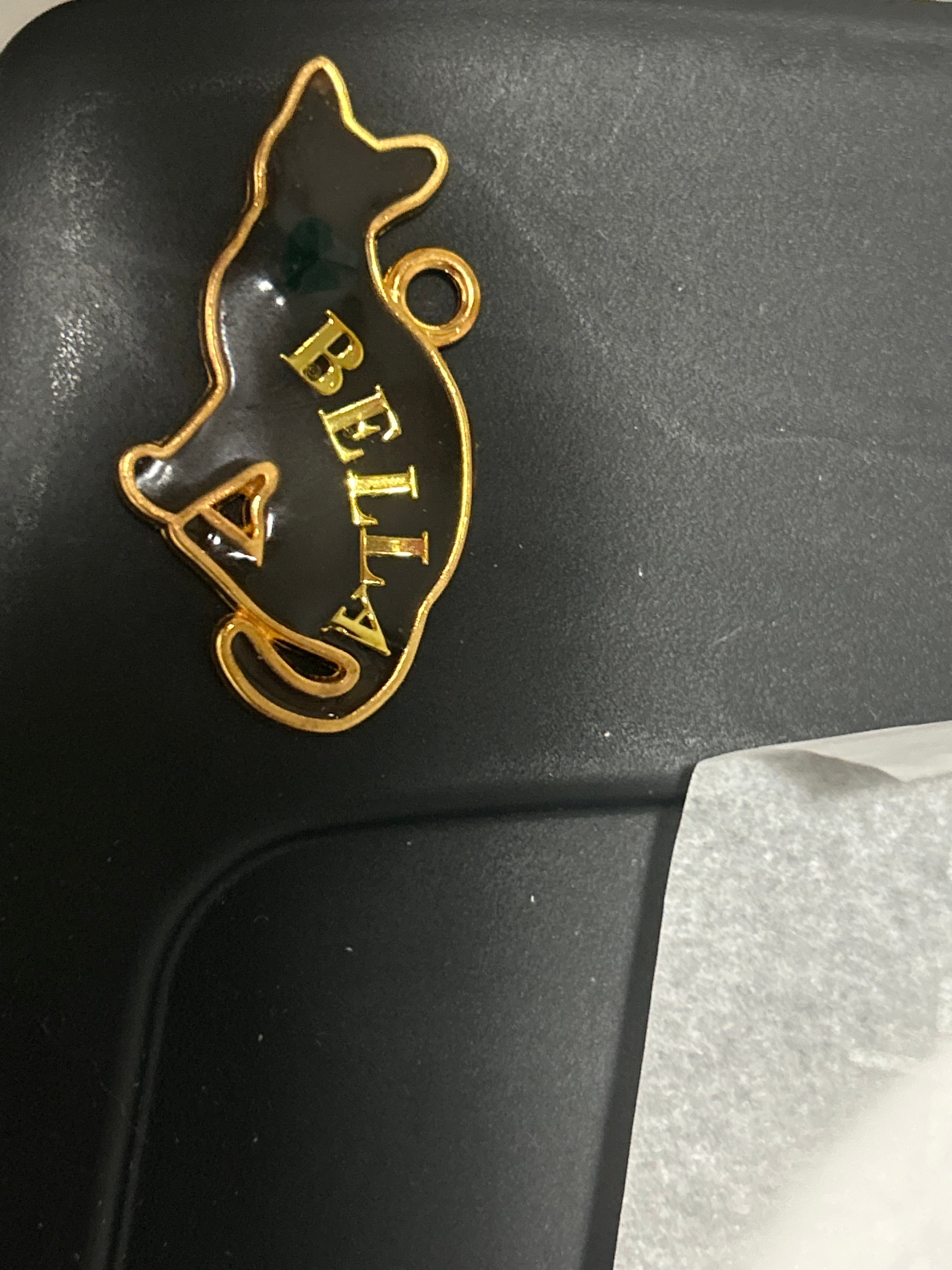 Personalized Cat Silhouette