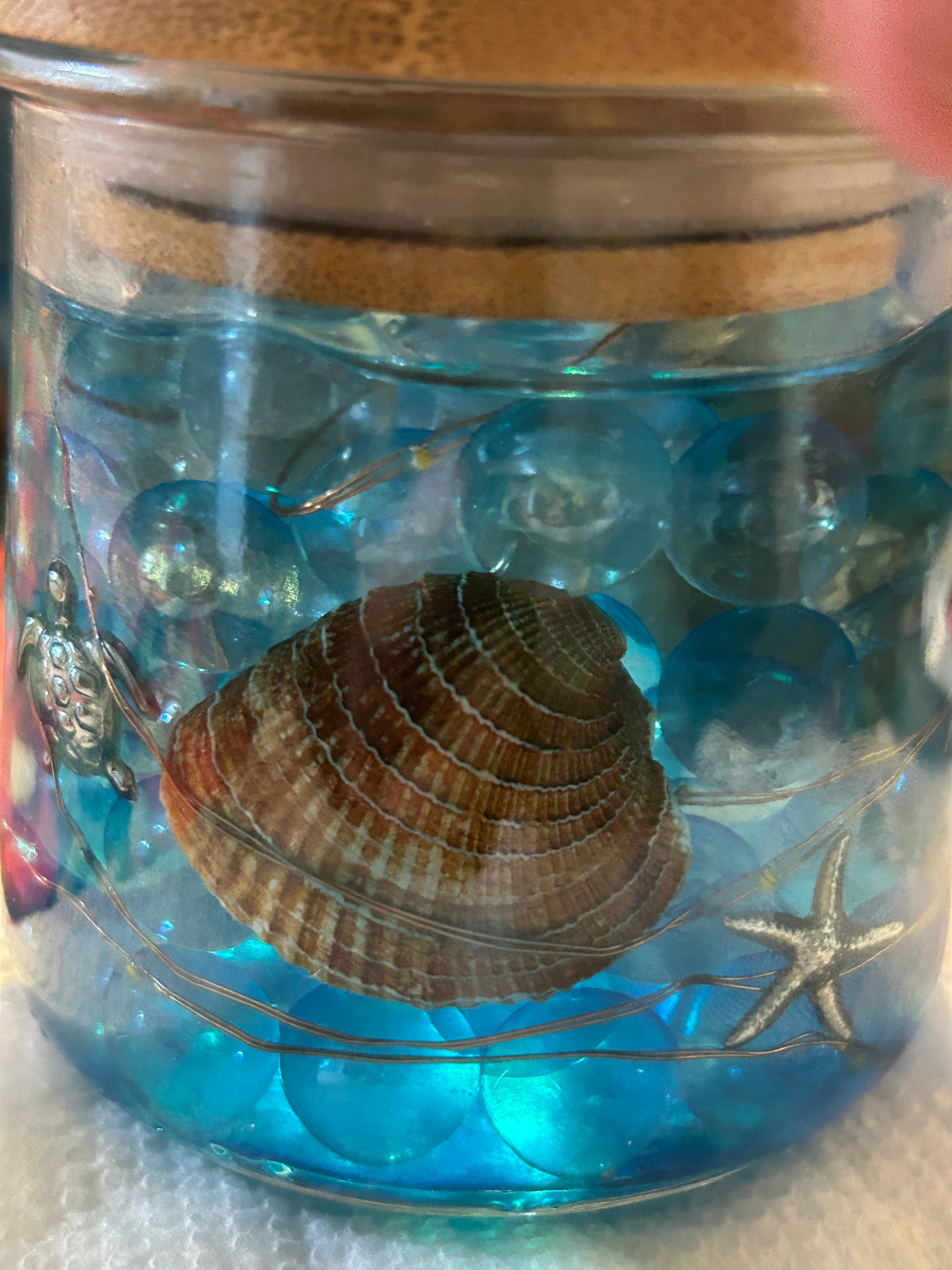 5oz jar of sea life with lights