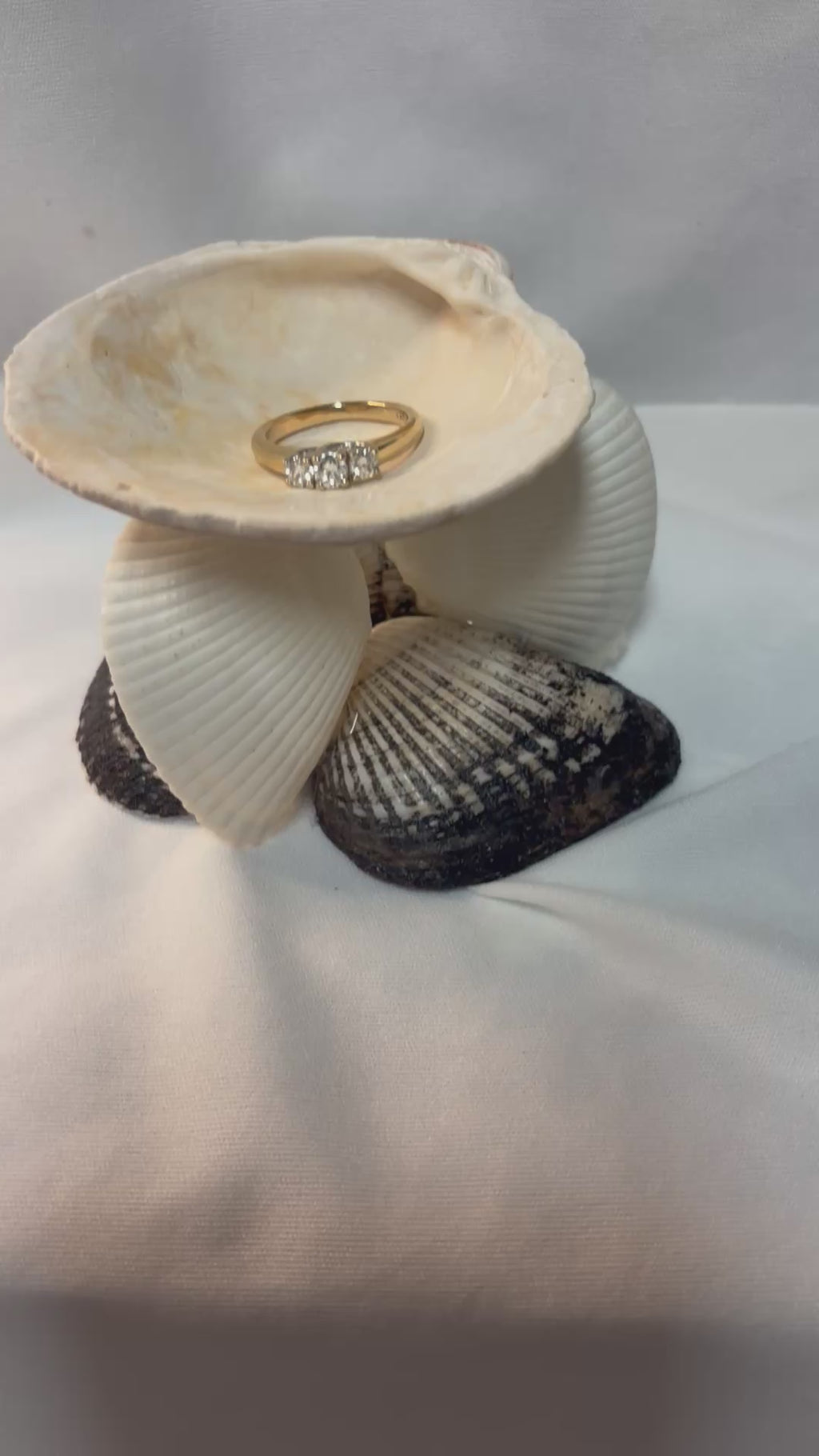 Coastal Seashell Jewelry Holder