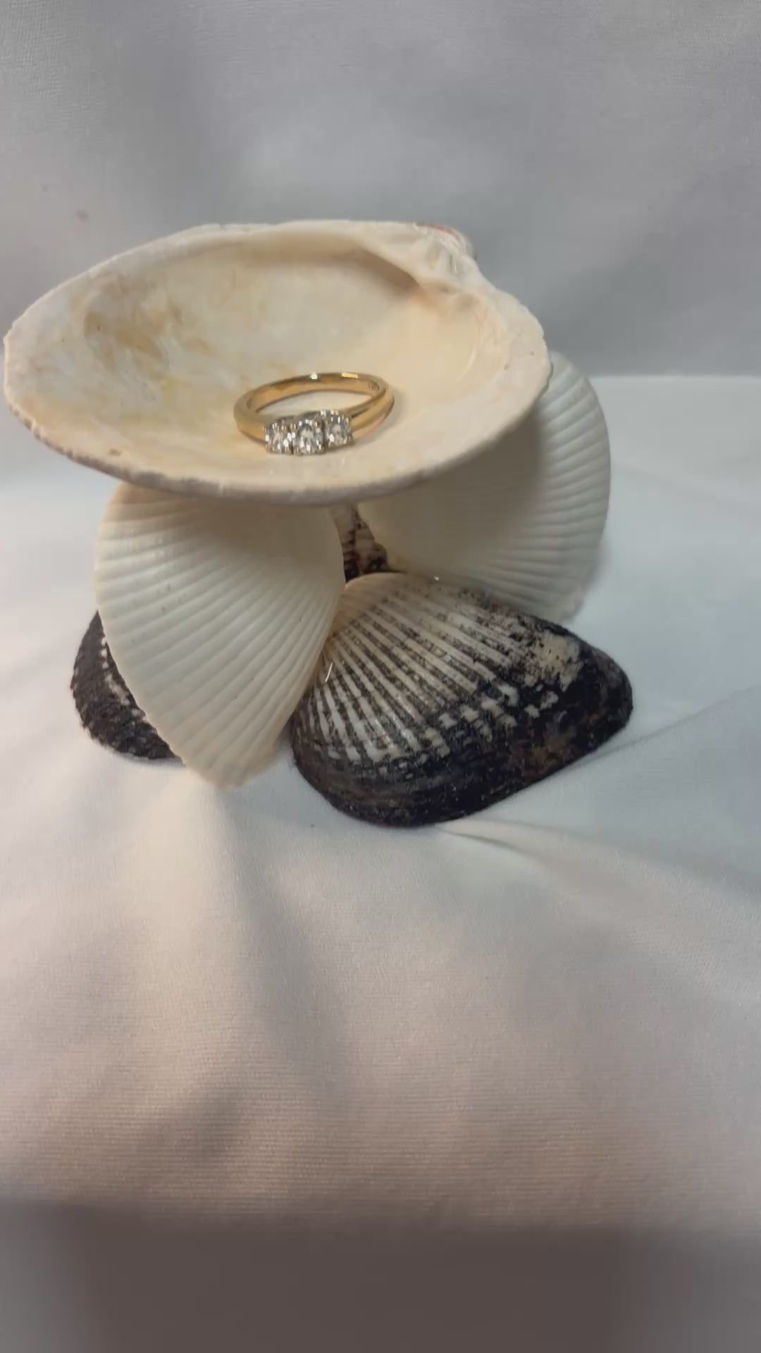 Coastal Seashell Jewelry Holder